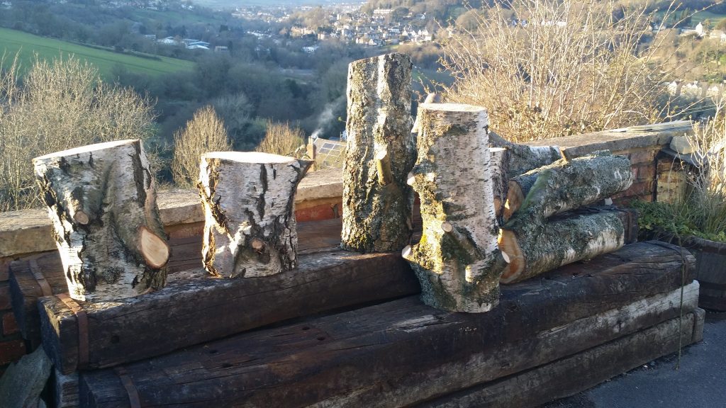 wooden logs or silver birch tree trunks for woodland style wedding with a view looking over the stroud valley available to hire for weddings and events