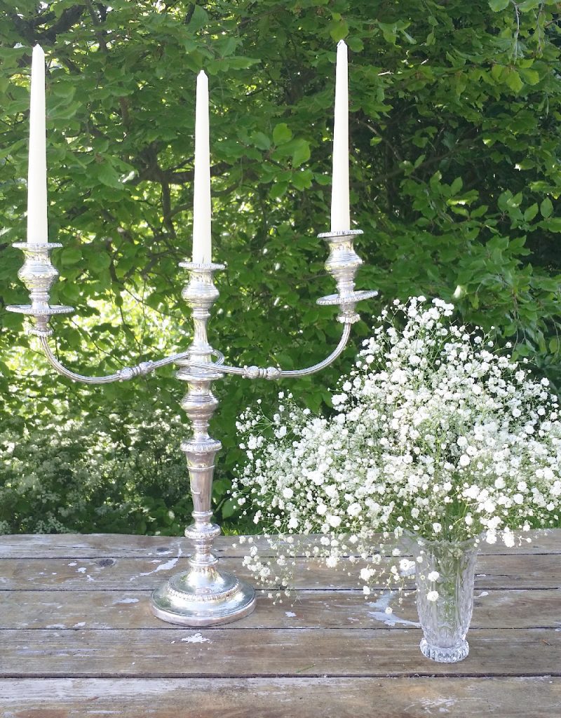 beauty and the beast style vintage candelabra and vintage glass vases to hire with gypsophila and beech trees on a trestle table